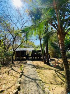 Luminosa Uvita Hostel