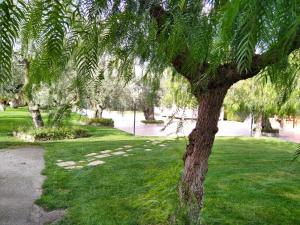 Villa Indipendente Superior "Fanfan" con ampio Giardino e Piscina