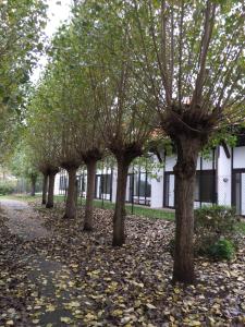 Vakantiewoning Kaviaar