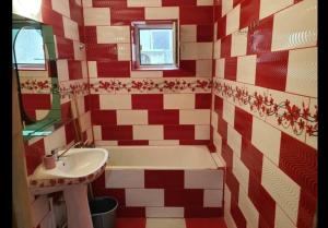 Apartament Octai