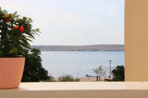 Apartments Ana - Kustići