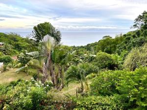 Hilltop South - Villa Bougainville