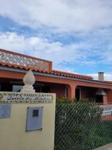 Quinta dos Moledros - Figueira