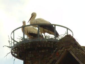 Maisons de vacances Gite du Vignoble : photos des chambres
