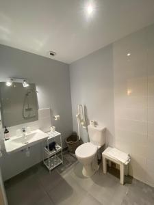 Hotels Hotel Relais du Loir : photos des chambres