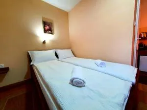 Virág Panzió - Tîncel