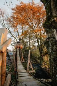 Tentes de luxe Cabane suspendue : photos des chambres