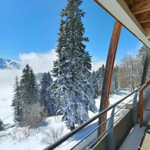 Appartements Chamrousse 1700 - Silenes C32, appartement classe 3 etoiles, avec vue sur les montagnes - : photos des chambres