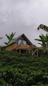 Glamping Jericó - El Edén