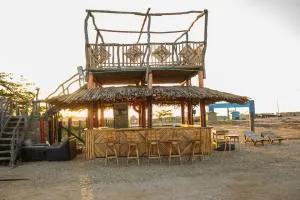 Del Mar Vendra - Nueva Lucha