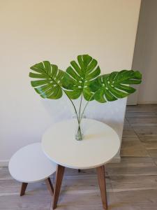 AP apartment Las Lomas