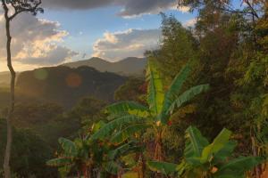 Pousada Coração Verde