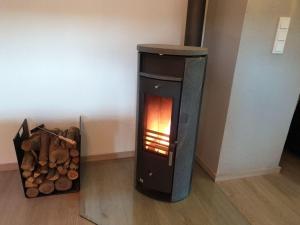 Eifel-Dream-Krausbuche