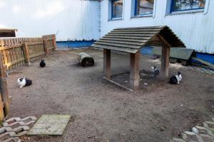 Ferienanlage Zum Knirk