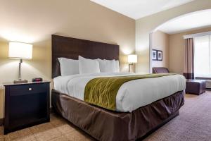 King Suite with Sofa Bed  - Non-Smoking room in Comfort Inn & Suites Scott - West Lafayette