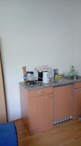 Ferienwohnung am Uferpark Blaser kleines Appartment F3