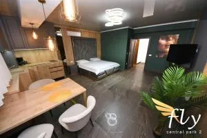 Fly Central Park 2 - Smîrdan