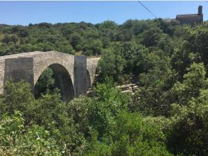 B&B / Chambres d'hotes Le Castellas du Pic St Loup : photos des chambres