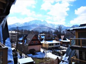 VIP Apartamenty Modrzejewska Residence