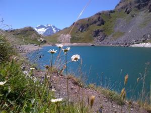 Hotels Alliey & Spa Piscine Appart-hotel Serre chevalier : photos des chambres