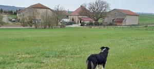 Appartements Gite ou chambre familiale , ferme des champs : photos des chambres