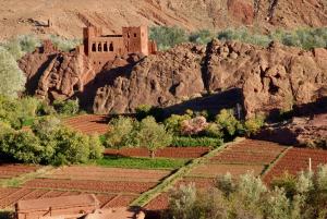 Les 4 Saisons Du Dades