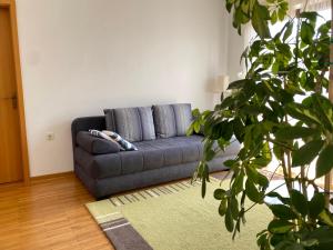 Apartmani Mia, 50 sqm, Parking included