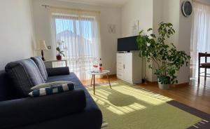 Apartmani Mia, 50 sqm, Parking included