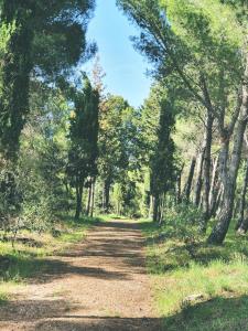 JANAS Country House img23