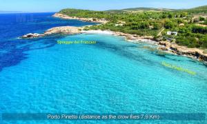 Il Fenicottero img39