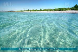 Il Fenicottero img41