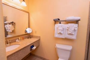 Queen Room with Two Queen Beds - Pet Friendly  room in Wine Country Inn