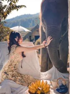 3 Pok Maewang jinxiang Gold elephant park - Ban Wang Pha Pun