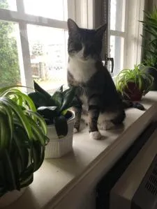 manni kodumajutus - Tahula