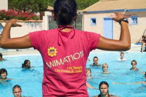 Maisons de vacances Maison avec piscine chauffee de Paques a la toussaint TAMARIS acces animation & parc aquatique DE juin a fin septembre : photos des chambres