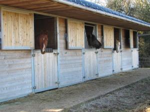 les chalets de l'essentiel : photos des chambres