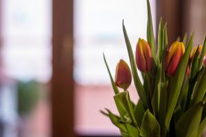 Colombohouse87 img10