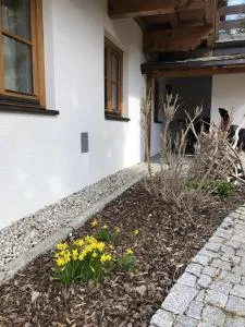 Patagonien - Obersteinberg