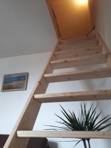 Maisons d'hotes Surf Hostel Quiberon, L'Oyat : photos des chambres