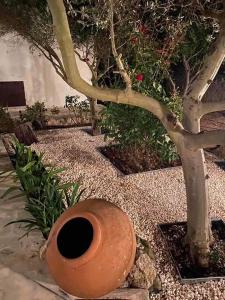 DROUSHIA CORNER HOUSE