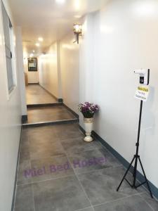 MIEL BED Hostel & Gallery