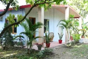 The TreePie Corbett - Rudrapur