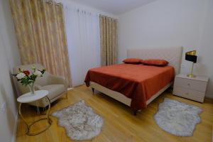 Comfy apartment in Shkoder