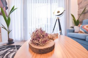 Oporto lovely house deluxe