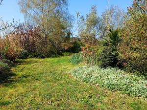 Maisons de vacances Maison de 2 chambres avec jacuzzi jardin clos et wifi a Lisle sur Tarn : photos des chambres