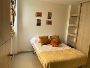HERMOSO APARTAMENTO EN Ibague 201 F1