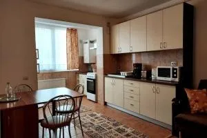 Spacious flat, with free parking & air conditioning - Tăuţii