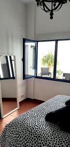 Casa Pescado a la sombra de un drago