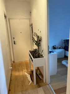 Appartements Charming Sunny Apartment across Monte Carlo Casino : photos des chambres