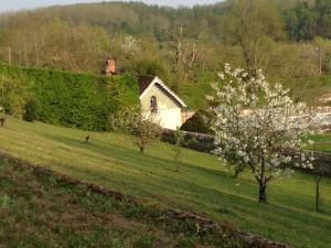 B&B / Chambres d'hotes Domaine Des Bidaudieres : photos des chambres